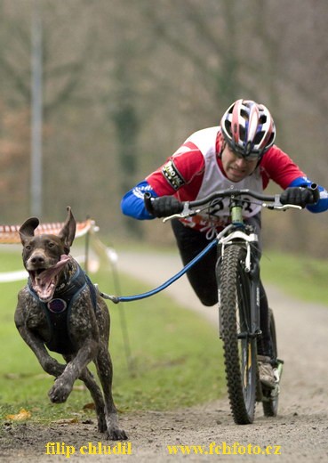 Rastede 08 - 0443.jpg